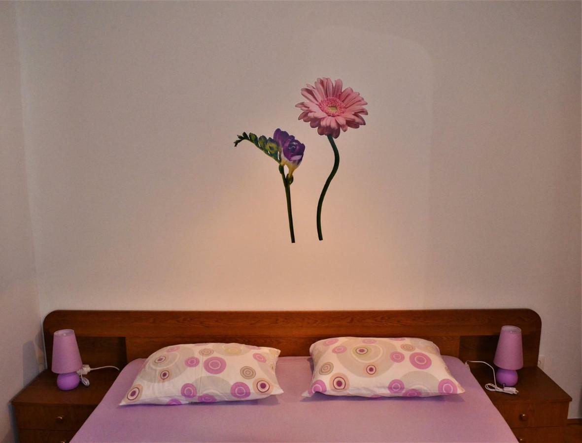 Apartman Rosa Пировац Екстериор снимка